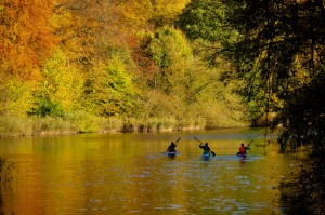 001 Efterår på Mølleåen